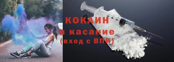 твердый Инсар