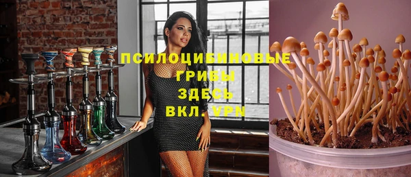 крисы Беломорск