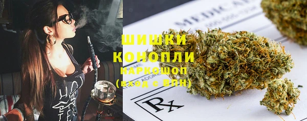 индика Балабаново