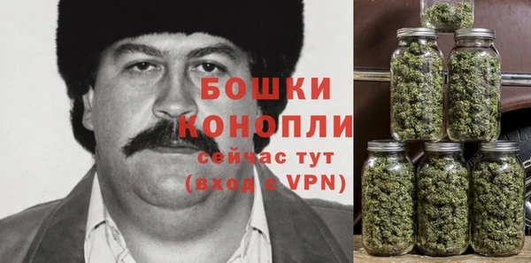 индика Балабаново