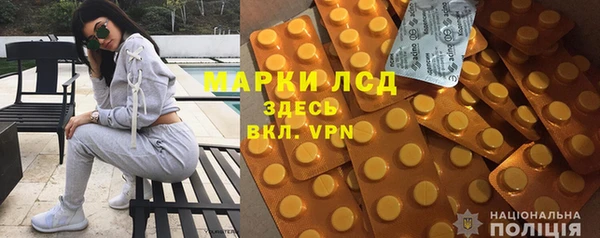 индика Балабаново
