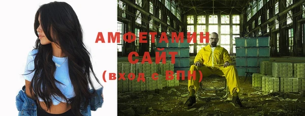 индика Балабаново