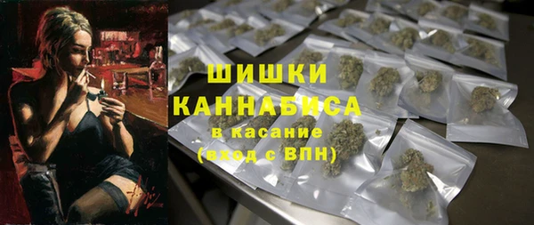 индика Балабаново