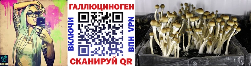 мега ссылка  Нижняя Тура  Псилоцибиновые грибы Psilocybe  даркнет сайт 